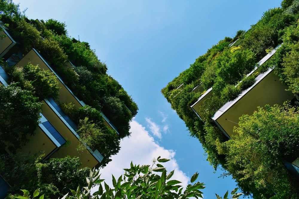 Top 10 Greenest Countries In The World In 2025